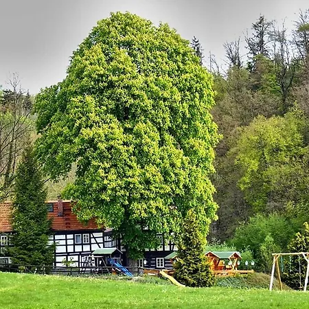 Gaststaette & Lochbauer *